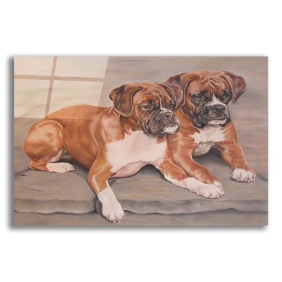 Epic Art 'Two Boxer Dogs' by Janet Pidoux, Acrylic Glass Wall Art, 24"x16"
