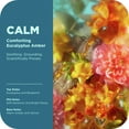 thumbnail image 5 of OLLY Calm Body Wash Repairs Skin Barrier & Soothe Stress Eucalyptus Amber, 17 oz, 5 of 14