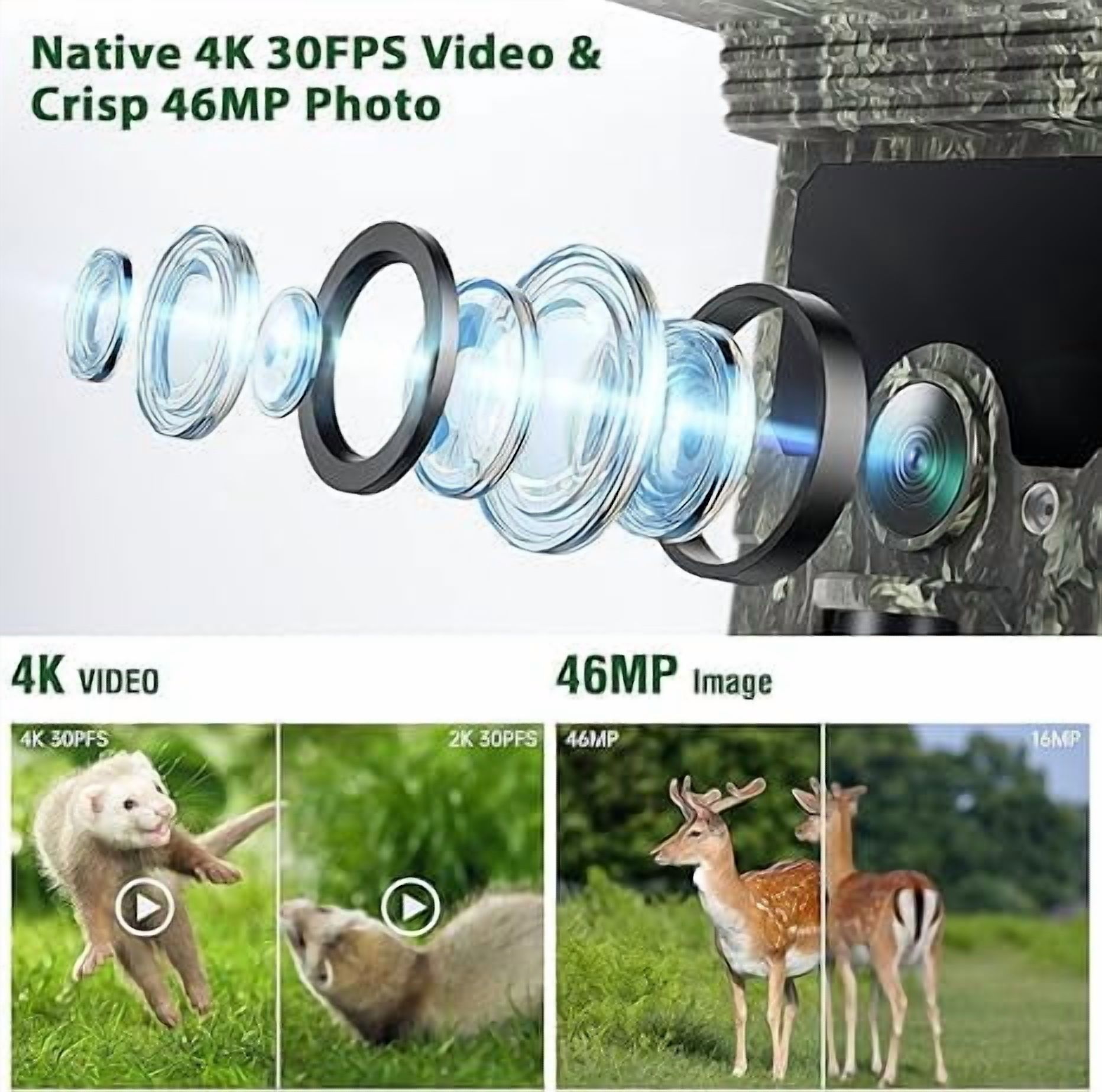 CAMPARK Trail Camera Solar Powered Wifi Bluetooth Native 4K 30fps 46MP 4400mAh Game Hunting Camera with Loop Recording 0.1s Trigger Time Deer Trail Cam with Night Vision Waterproof IP66