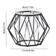 thumbnail image 3 of Jarrón Hidropónico de Vidrio Decorativo Jlh250205002 | Marco de Hierro | Maceta de Vidrio Transparente para Plantas Acuáticas de Hiedra Verde | Decoración Moderna para El Hogar | Decoración para Sala, 3 of 6
