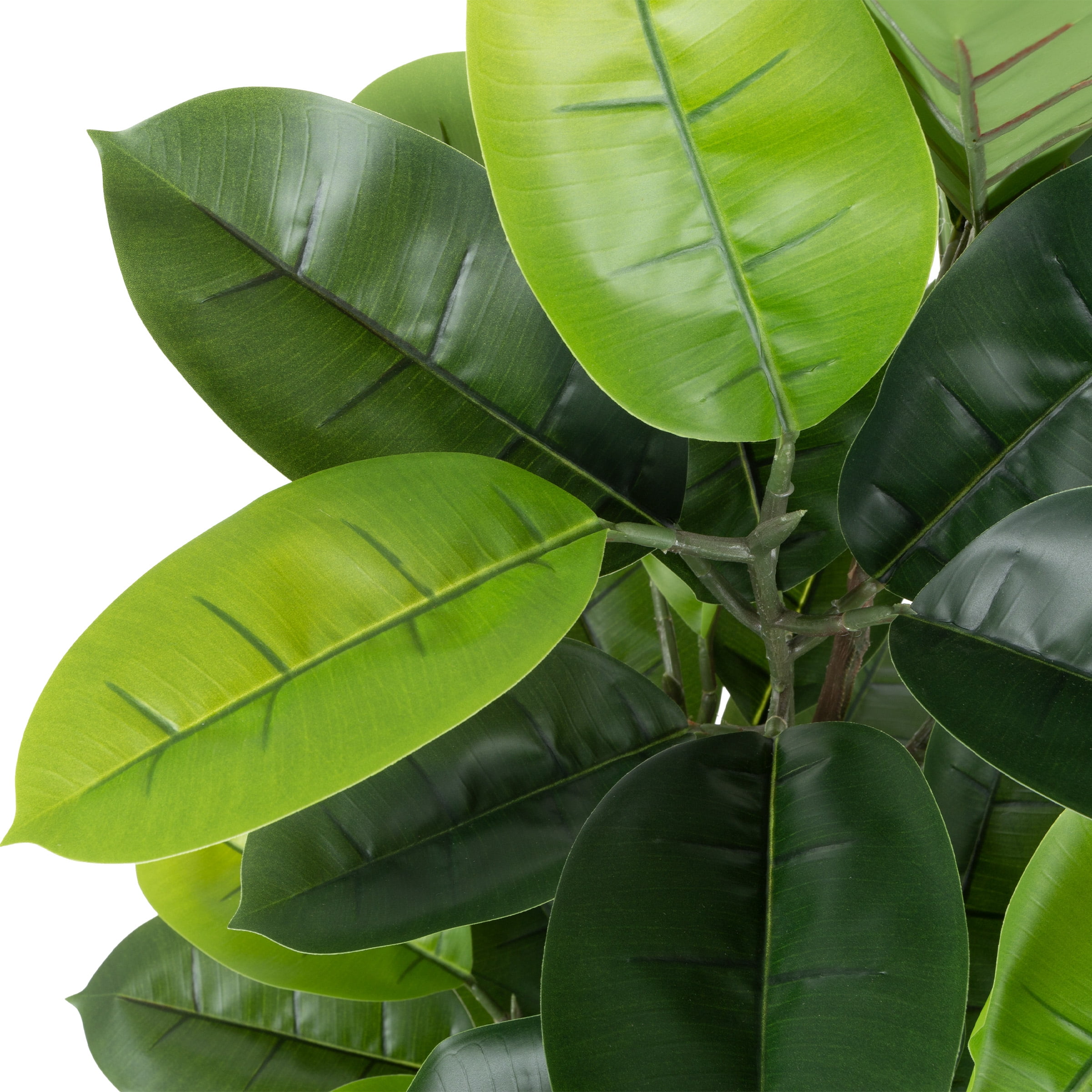 Pure Garden 51" Artificial Rubber Plant in Pot