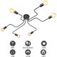 thumbnail image 1 of Lámpara de techo industrial retro única, lámpara de techo Sputnik con 6 brazos ajustables para instalación de bricolaje, fácil montaje en acabado negro mate para una amplia gama de espacios, 1 of 7