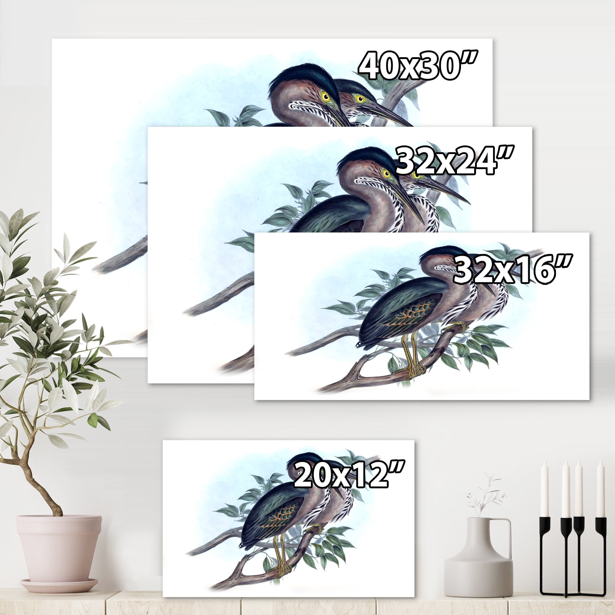 Designart ' Ancient Australian Birds VII ' Traditional Canvas Wall Art Print