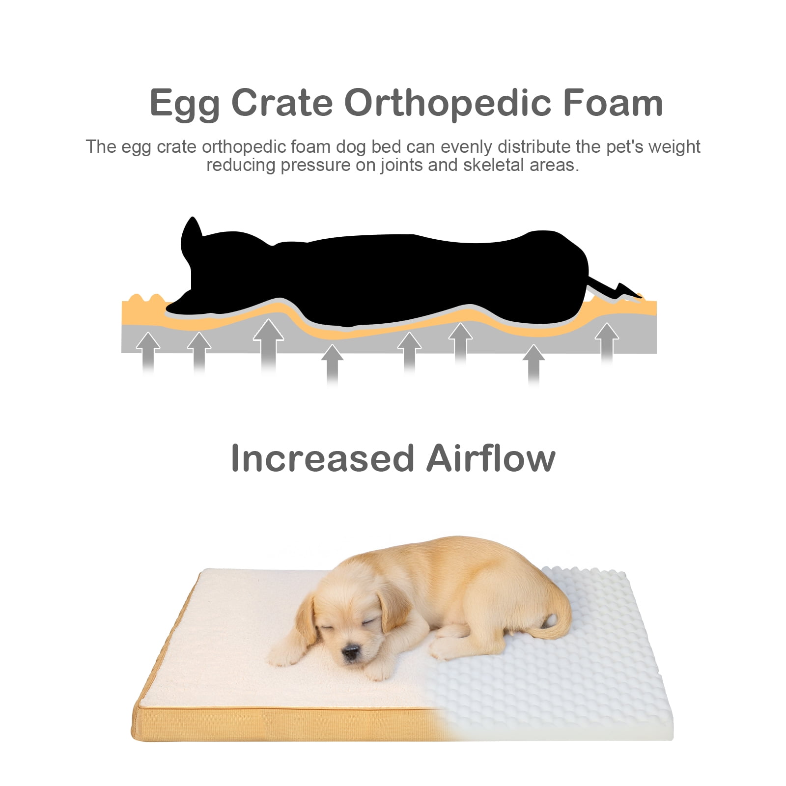 PureWags Orthopedic Dog Bed, Reversible Egg Crate Foam Pet Bed with Removable Washable Cover for Small, Medium and Large Dogs, Yellow