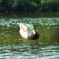 thumbnail image 5 of Floating Decoy Duck Decoy Drake with Weighted Floating Keel for Fishing 31x15x15cm, 5 of 7