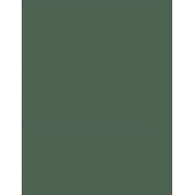 Cardstock Warehouse Lessebo Moss Green - 8.5 x 11 inch 111 lb. Cardstock Paper - 25 Sheets