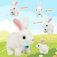 thumbnail image 2 of Easter Hopping Bunny Plush with Carrot Jumping Spotted Rabbit Ears Nose Moving Educational Plush Toy Interactive Toy Electric Birthday Gift for Toddlers Kids,7" Stuffed Animals Toys Easter Gifts, 2 of 13