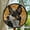 Cattle Dog, variant on Concentric Circles: Stained Glass-Style Christmas Ornament - Made With Real Glass, Stained Glass Ornament 2025, Holiday Decoration, Seasonal Keepsake Gift, Unique Collectible,
