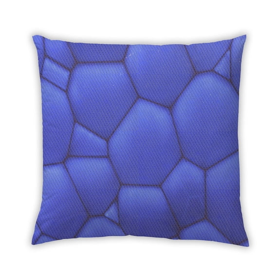 Ahgly Company Indoor Square Contemporary Throw Pillow, 18 inch by 18 inch