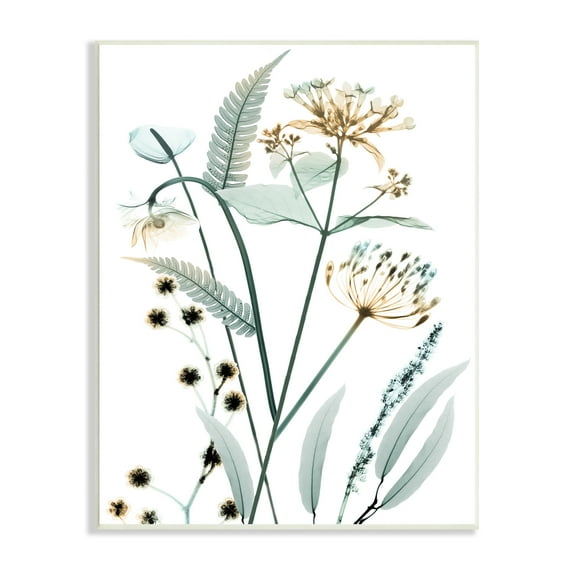 Stupell Industries Spring Meadow Wildflowers Translucent Plant Botanical & Floral Photography Unframed Art Print Wall Art, 10 x 15
