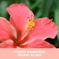 thumbnail image 5 of Espuma autobronceadora Hawaiian Tropic Sunless Tan, 1 hora, 7 oz, 5 of 5