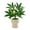 A, variant on A Artificial Money Tree Potted Plant With Realistic Green Leaves, Ceramic Pot And Eternal Greenery Design For Living Room, Office Desk, Home Interior 11.81X3.94X3.94In 0.66Lb