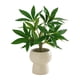 thumbnail image 1 of Decoración de Planta Verde Simulada, Plantas en Macetas Pequeñas, Decoración de Sala de Estar, Flores Artificiales, Plantas Verdes Eternas, Decoración de Bonsái Interior Decoraciones Del Hogar para La, 1 of 6