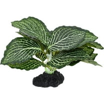 Komodo Reptile 93382 4 in. Standing Vein Plant, Green