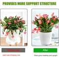 thumbnail image 6 of YZEGDCH 2 Sets Garden Plant Support Cages Tomato Cage Adjustable Plant Support Cages for Garden & Pots Small Plant Cages,Patio Decor Deals, 6 of 9