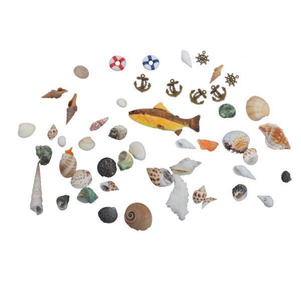 Yinanstore 6xNatural Embellishments Sea Shells Anchor Craft Beach Weddings Decor