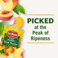 thumbnail image 5 of DEL MONTE Lite Yellow Cling Sliced Peaches, Canned Fruit, 15 oz Can, 5 of 7