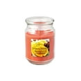 thumbnail image 1 of MAINSTAYS CRANBERRY MANDARIN 19OZ SCENTED JAR, 1 of 1