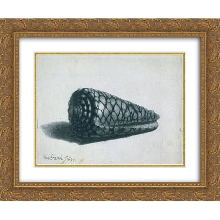 Cone Matte - Rembrandt 2x Matted 24x20 Gold Ornate Framed Art Print 'Cone Shell'