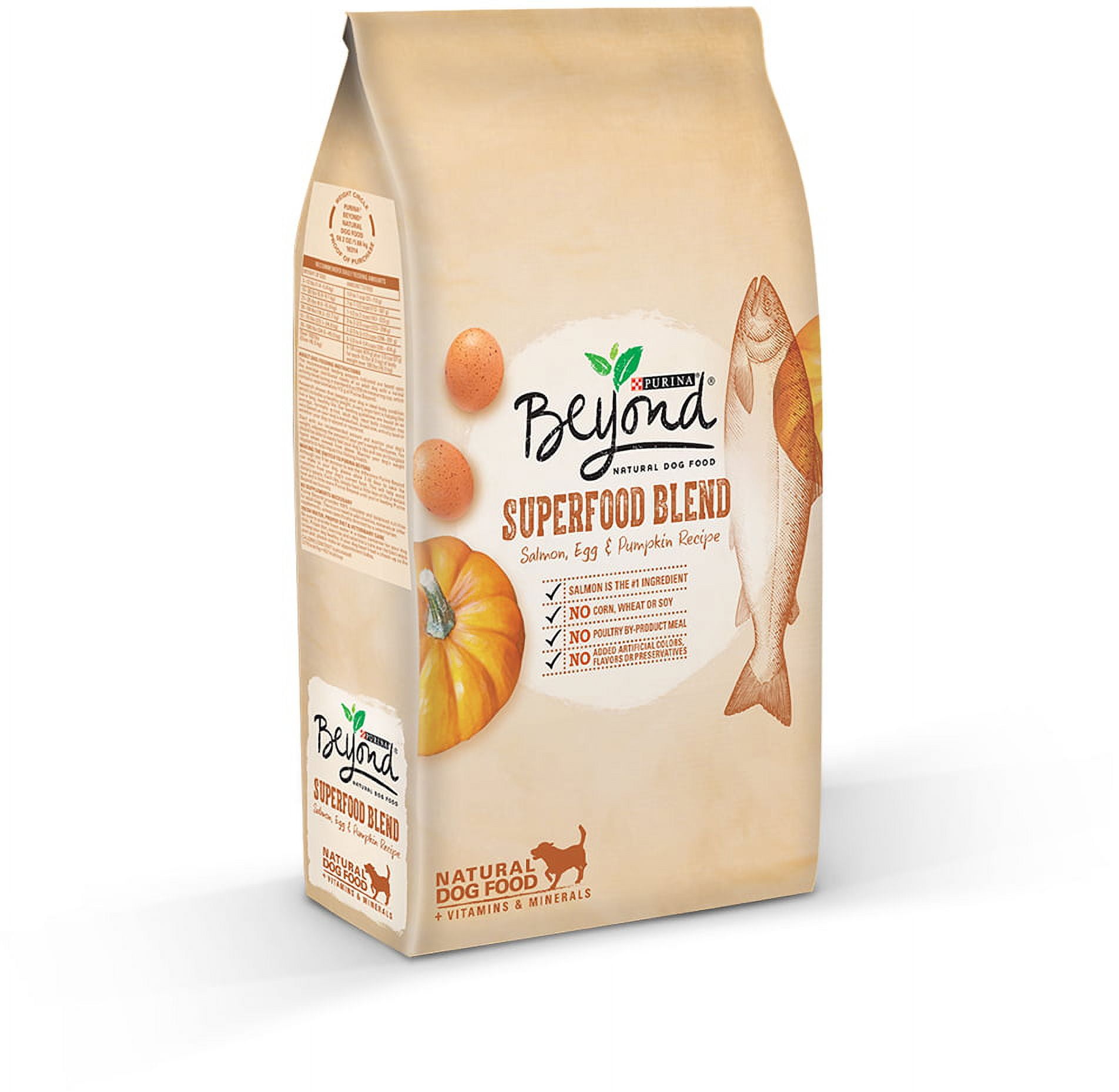 Purina beyond salmon dog food hot sale