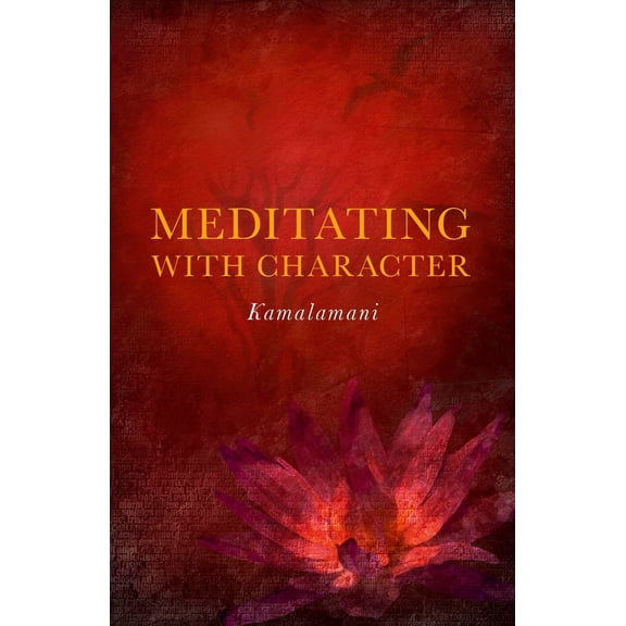 Meditating with Character (Paperback)