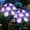 Purple, variant on Ninonly 2 Pack Morning Glory Solar Garden Lights, Solar Powered Decor for Yard Pathway Patio Lawn,Purple