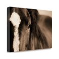 thumbnail image 2 of 24" x 16" Dark Eyes by Lisa Dearing - Print On Canvas Fabric Multi-Color, 2 of 3