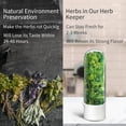 thumbnail image 7 of Herb Keeper for Refrigerator, Herb Saver for Refrigerator, Cilantro Container, Vegetable Preservation Bottle for Cilantro, Mint, Parsley, Asparagus, Keeps Greens Fresh for 2-3 Weeks, 7 of 7