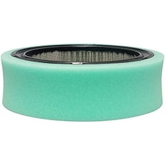 Inner Air Element Baldwin PA30208