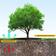 thumbnail image 4 of Tutuviw Non Woven Tree Ring, 24.4 inches Round Tree Base Weed Barrier Fabric Cover, Degradable and Reusable Tree Mulch Ring for Landscaping Weed Control, Root Protection, 4 of 7