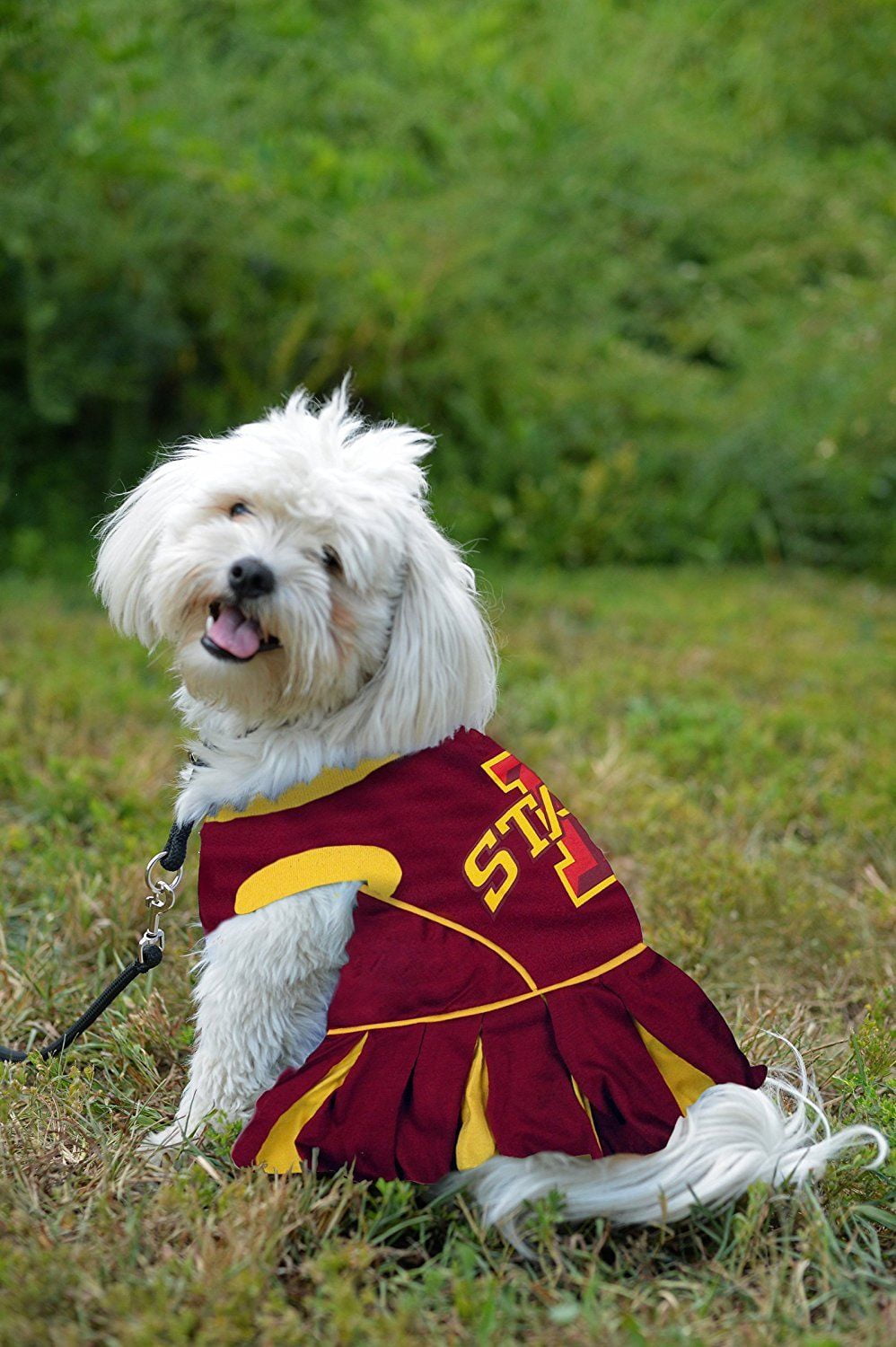 Pets First College Iowa State Cyclones Cheerleader, 3 Sizes Pet Dress Available. Licensed Dog Outfit