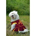 thumbnail image 3 of Pets First College Iowa State Cyclones Cheerleader, 3 Sizes Pet Dress Available. Licensed Dog Outfit, 3 of 6