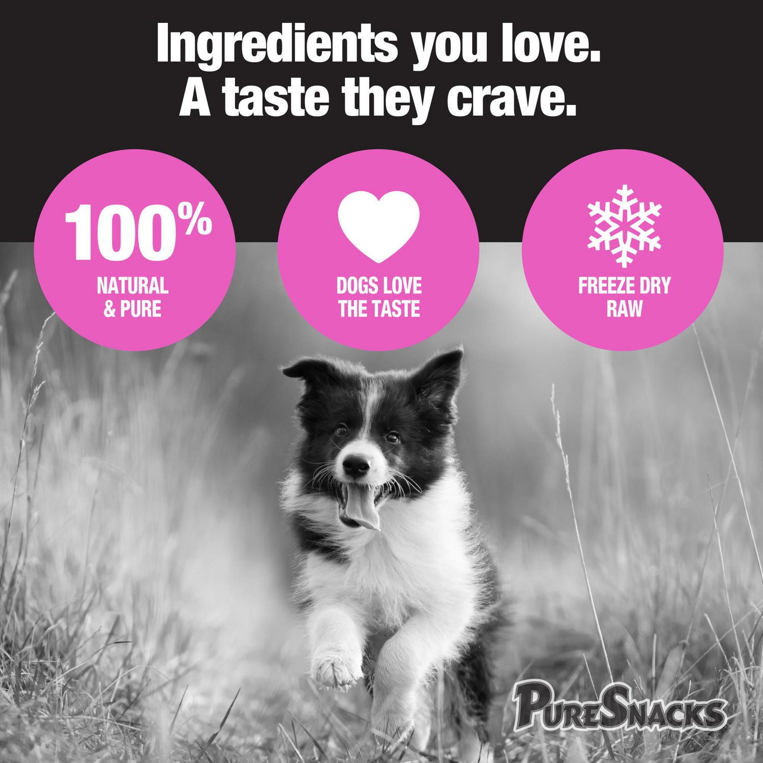 Mini-PureSnacks Freeze Dried Trainers, Salmon, 57g