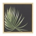 thumbnail image 3 of hometrends Palm 2 Framed Canvas Art, 3 of 4