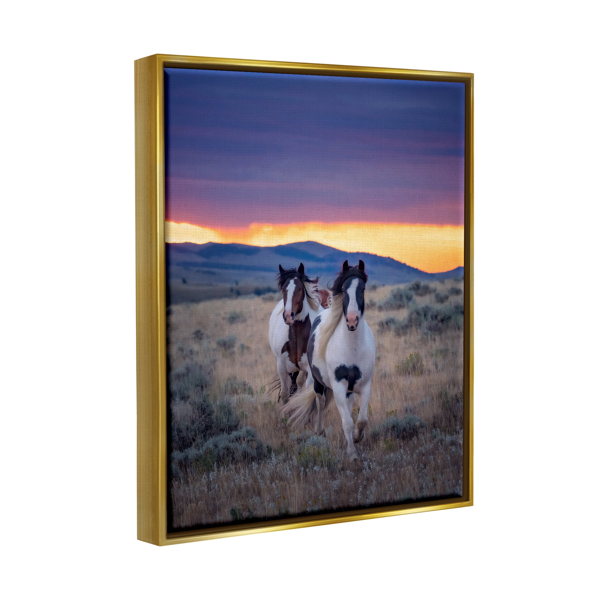Stupell Industries Spotted Horses at Sunrise Animals & Insects Photography Gold Floater Framed Canvas Art Print Wall Art, 17 x 21