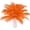 Orange, variant on Pink Ostrich Feathers 24pcs Natural Bulk 8-10Inch 20cm-25cm for Crafts Wedding Party Centerpieces Halloween and Home Decoration Feathers