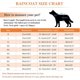 thumbnail image 5 of Chubasquero para perros con orificio para la capucha para el arnés, 100 % impermeable, ultraligero, transpirable, para perros pequeños y medianos, con capucha ajustable, poncho Chei, 5 of 5