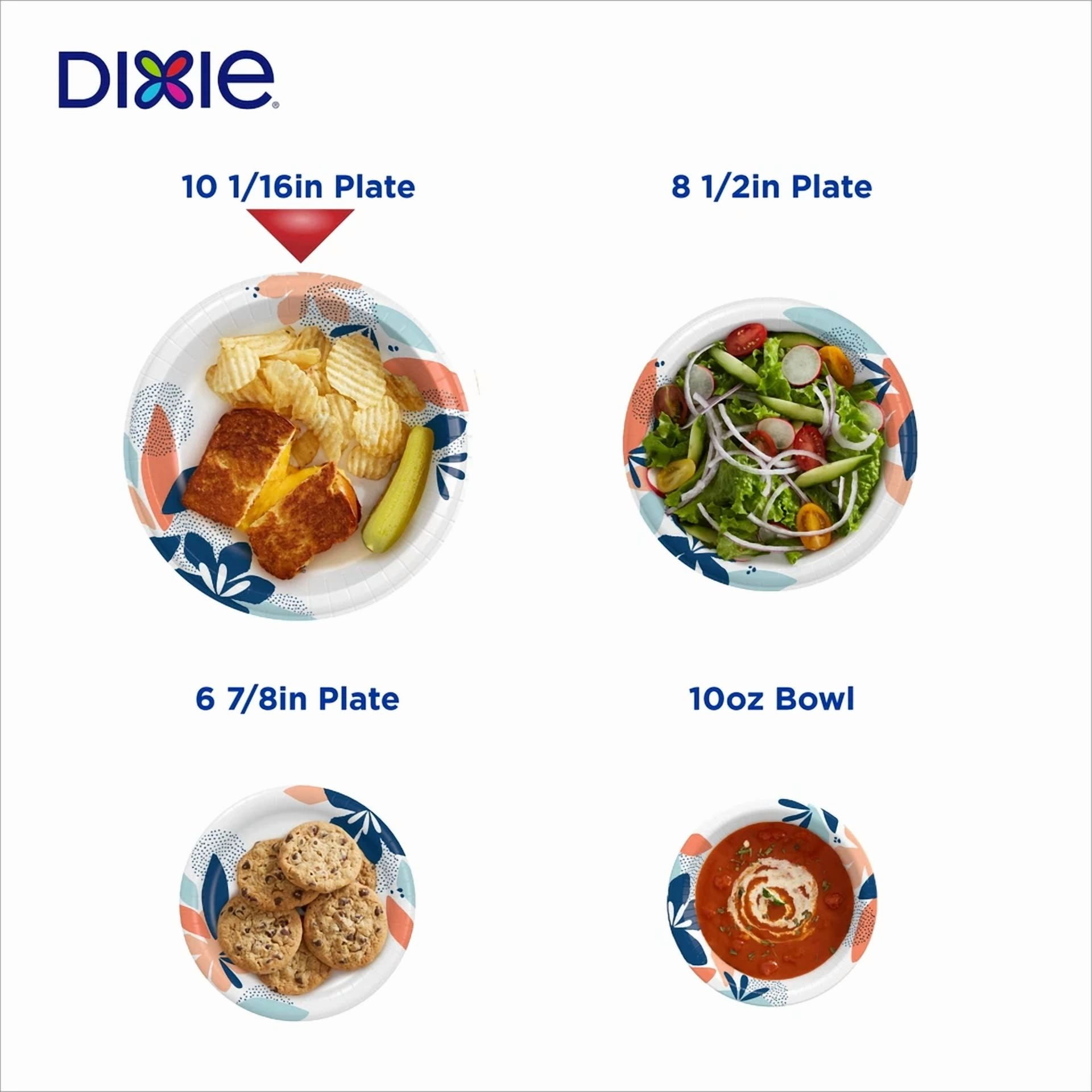 Dixie Everyday Disposable Paper Plates, 10", Multi-Color, 100 Count,Durable