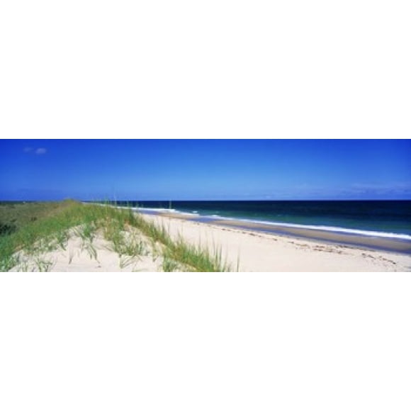 Cape Hatteras National Park, Outer Banks, North Carolina USA Poster Print (18 x 6)