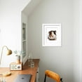 thumbnail image 4 of Domestic Guinea Pig Cavia porcellus adult, Framed Art Print Wall Art by Chris Brignell Sold by Art.Com, 4 of 5