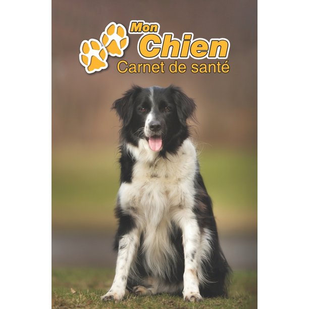 Mon Chien Carnet De Sant Border Collie Chiot 109 Pages 15cm X 23cm A5 Cahier Remplir Vaccinations Suivi M Dical Visites V T Rinaire Walmart Com Walmart Com