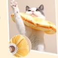 thumbnail image 4 of Protector Para Cachorros Y Gatos Perfecl Antimordeduras Resistente Al Agua Accesorio De Patrón Naranja Talla S, 4 of 8