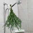 thumbnail image 3 of NOGIS Real Eucalyptus Stems Greenery Decor 16" Dried Willow Eucalyptus Plant Preserved Greenery Stems for Home Vase Filler Wedding Flowers Arrangement Spring Decorations (Green), 3 of 7