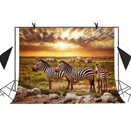 MOHome Polyster Backdrop 7x5ft Zebras Wildlife Park Grassland Background For Photo Video Party Photography