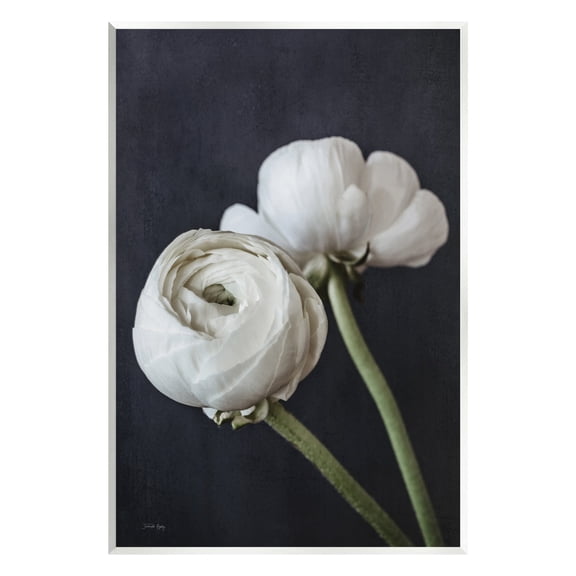 Stupell Industries Modern Ranunculus Flower Blossom Arrangement White Petals Photograph Unframed Art Print Wall Art, Design by Jennifer Rigsby