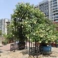 thumbnail image 5 of Holaki Metal Garden Arch with Adjustable Width Climbing Plants Support Rose Arch Outdoor Black, 5 of 11