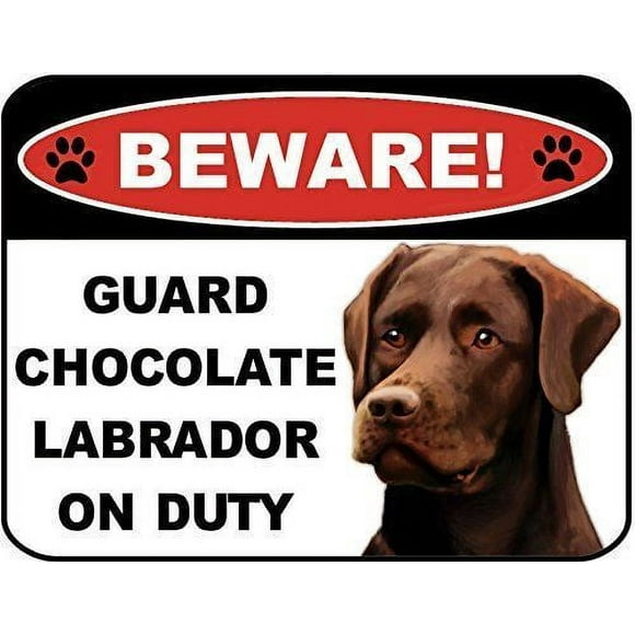 Size: 16" x 12" - Beware Guard Chocolate Lab on Duty Dog Metal Sign