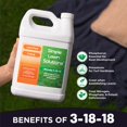 Ultimate 31818 Lawn Food MMF7 Liquid Fertilizer Great When High