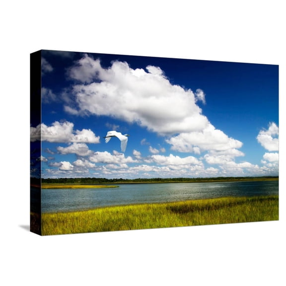 Art.com Wetland Herons I Stretched Canvas Print Wall Art by Alan Hausenflock, 18" x 12"