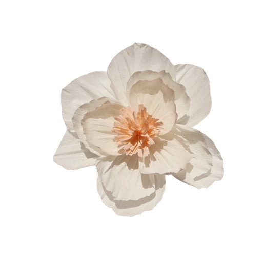 Nvzi-b 3 piezas de flores de papel crepé de 30 cm para decoración de pared, flores para decoración de bodas, fondos florales, baby shower, fiesta de cumpleaños, fondo de fotos, decoración de arcos,